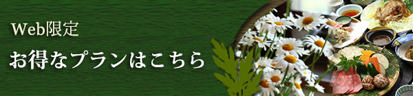 web限定お得なプランはこちら