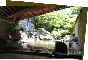 5つの天然温泉掛け流し